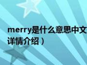 merry是什么意思中文（关于merry是什么意思中文的基本详情介绍）