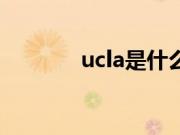 ucla是什么学校（ucla空切）