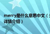 merry是什么意思中文（关于merry是什么意思中文的基本详情介绍）