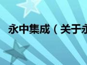 永中集成（关于永中集成的基本详情介绍）