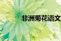 非洲菊花语文案（非洲菊花语）