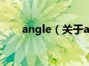 angle（关于angle的基本详情介绍）