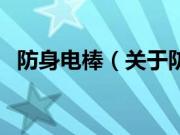 防身电棒（关于防身电棒的基本详情介绍）