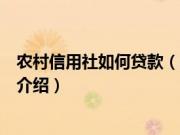农村信用社如何贷款（关于农村信用社如何贷款的基本详情介绍）