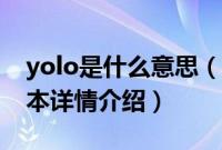 yolo是什么意思（关于yolo是什么意思的基本详情介绍）