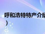 呼和浩特特产介绍（内蒙古呼和浩特特产大全）