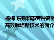 杨梅 东魁和荸荠种高效栽培新技术(关于杨梅 东魁和荸荠种高效栽培新技术的简介)