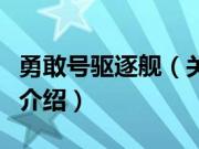 勇敢号驱逐舰（关于勇敢号驱逐舰的基本详情介绍）