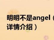 明明不是angel（关于明明不是angel的基本详情介绍）