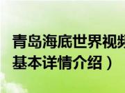 青岛海底世界视频（关于青岛海底世界视频的基本详情介绍）