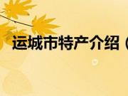 运城市特产介绍（山西省运城市特产大全）