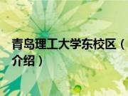 青岛理工大学东校区（关于青岛理工大学东校区的基本详情介绍）