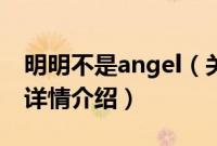 明明不是angel（关于明明不是angel的基本详情介绍）