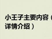 小王子主要内容（关于小王子主要内容的基本详情介绍）