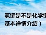 氢键是不是化学键（关于氢键是不是化学键的基本详情介绍）