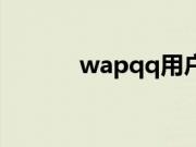 wapqq用户是什么（wapqq）