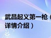 武昌起义第一枪（关于武昌起义第一枪的基本详情介绍）