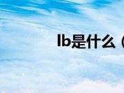 lb是什么（lb的意思是什么）