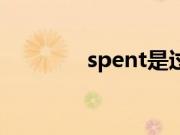 spent是过去式吗（spent）