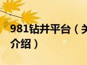 981钻井平台（关于981钻井平台的基本详情介绍）