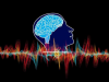 新研究将脑电波直接与记忆联系起来