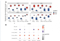 Dectin-1 刺激可促进 HIV 和衰老过程中独特的炎症特征