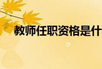 教师任职资格是什么（任职资格是什么）