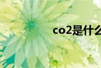 co2是什么意思（CO2）