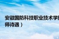 安徽国防科技职业技术学院招聘（安徽国防科技职业学院老师待遇）