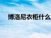 博洛尼衣柜什么档次 中国衣柜10大品牌