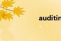 auditing（audit）