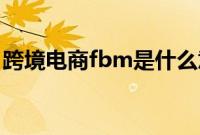 跨境电商fbm是什么意思（FBM是什么意思）