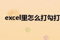 excel里怎么打勾打叉（excel里怎么打勾）