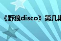 《野狼disco》第几期（野狼disco是哪一期）