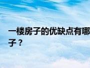 一楼房子的优缺点有哪些？什么情况下可以考虑买一楼的房子？