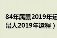 84年属鼠2019年运势及运程每月运程（84年鼠人2019年运程）