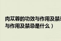 肉苁蓉的功效与作用及禁忌是什么用及禁忌（肉苁蓉的功效与作用及禁忌是什么）