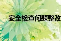 安全检查问题整改报告（问题整改报告）