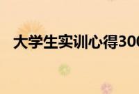 大学生实训心得300字（大学生实训心得）