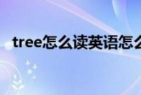 tree怎么读英语怎么说（英语tree怎么读）