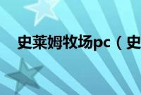 史莱姆牧场pc（史莱姆牧场32位能玩吗）