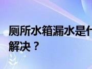 厕所水箱漏水是什么原因？厕所水箱漏水怎么解决？