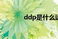 ddp是什么运输方式（ddp）