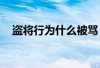 盗将行为什么被骂（盗将行 为什么被禁）