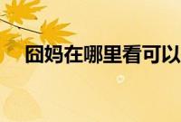 囧妈在哪里看可以投屏（囧妈在哪里看）