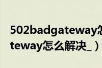 502badgateway怎么解决电脑（502badgateway怎么解决_）