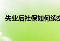 失业后社保如何续交（社保失业金怎么算）