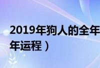 2019年狗人的全年运势如何（2019年狗人全年运程）