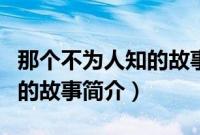 那个不为人知的故事简介内容（那个不为人知的故事简介）