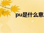 pu是什么意思？pu皮是什么皮？